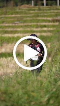 BIB:  <button type="button" onclick="openModal(26787225)" class="btn btn-primary btn-sm float-right" data-toggle="modal" data-target=".modal-high-quality">
                <i class="fa fa-download"></i> Download
                </button>